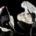 Single transducer headphones