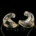 Dual Stereo EarPlugs