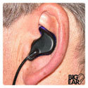 BE-FM1