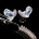 Custom Earplugs for Marching Band Directors