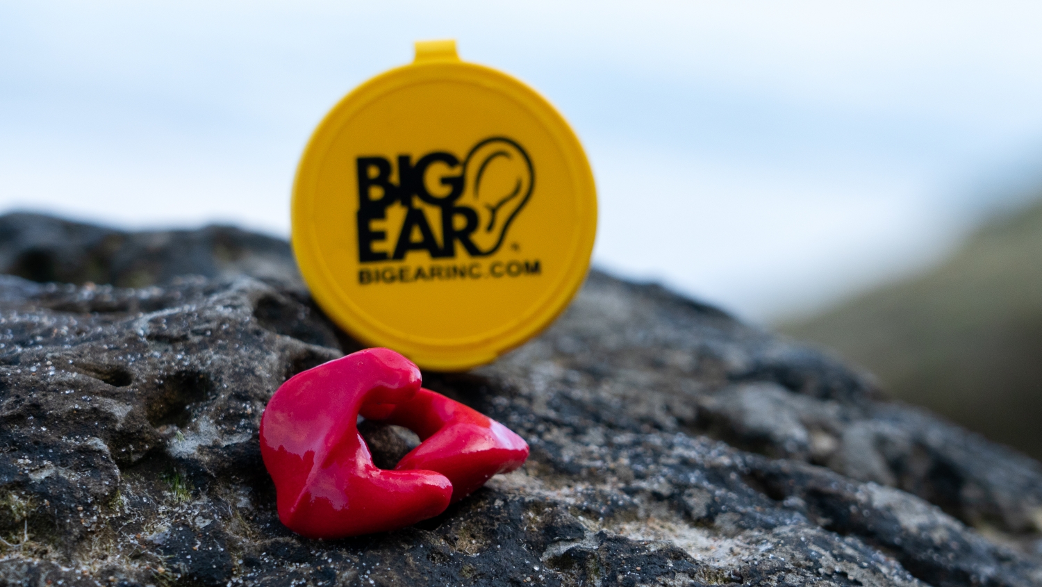Swim Earplugs