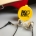 Hardwired Musician Earbuds 2