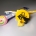 Custom Dental Earplugs
