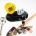 Best Musicians Custom Earplugs