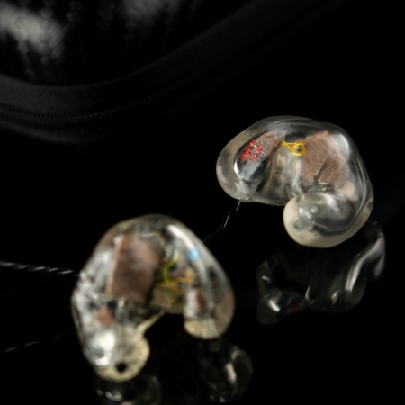 Custom Electronic Hearing Protection Custom Dental Hearing Protection The Oz Big Ear