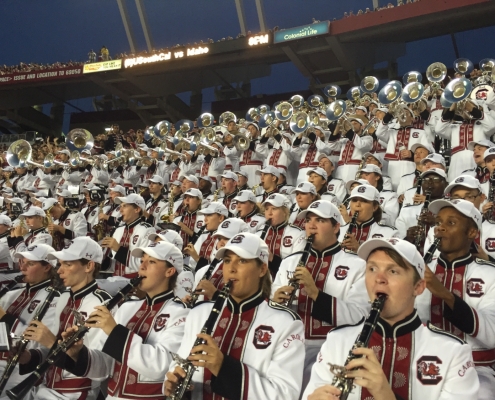 Musicians Hearing Loss