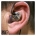 Shure® with adapters